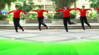 广场舞《草原情缘》杨丽萍广场舞鬼步舞团队正面表演原创