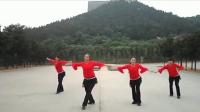 《雪山阿佳》叶子广场舞！舞姿令人感叹