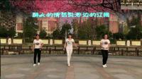 上海市闵行区教广场舞鬼步舞 老司机对我说 鬼步舞附教学