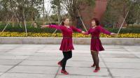 广场舞双人对跳28步视频教程