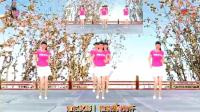 阳光美梅原创广场舞《玫瑰花开》步子舞-编舞: 美梅2018最新广场舞视频