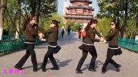 2人水兵舞精彩对跳 十一套练习 广场双人交谊舞教学
