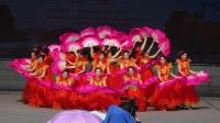 平顶山市第二届广场舞比赛滢之星舞蹈队《和谐中国》
