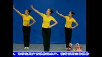 全国儿童舞蹈素质教育等级认证全套视频第1级《画》