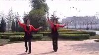 渭南惠园广场舞蹈---草原牧歌