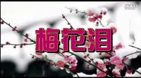 昭萍广场舞-梅花泪（30）