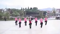 太湖美广场舞：十八的姑娘一朵花 标清