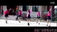 姑娘不要走 天使之翼广场舞（含教学）爱情万万岁 广场舞高清视频