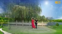 阳光美梅广场舞【月亮女神】优美中三步-双人舞2018最新广场舞视频