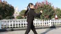 小女孩跳起广场舞一点不比大妈差, 灵动的身姿专业的舞步令人佩服