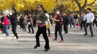 陶然亭全民健身广场舞十六步《一晃就老了》
