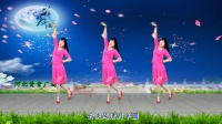 黄梅戏广场舞《十五的月亮为谁圆》16步附教学, 好学好看, 河北青青广场舞