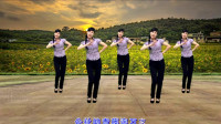 刘紫玲怀旧老歌广场舞《社员都是向阳花》回味时代经典, 好听好看!