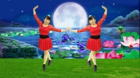 漳州市南靖县山城镇阿珠广场舞队《白天的月亮》原创32步舞附教学