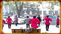 香河广场-府前街中老年习练兔子舞