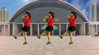 32步广场舞《迪斯科》简单好看，适合大众健身附分解动作