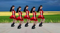 怀旧金曲广场舞《女人不是辘轳》老歌新跳16步，简单易学更好看！