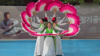广场舞扇子舞蹈视频 这是我见过最简单易学的女子群舞