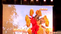 燕子青春姐妹广场舞8人变队形《跳到北京》制作：燕子