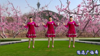 阳春三月献上广场舞《桃花朵朵开》简单好看附动作分解