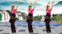 精选热门广场舞《想啊》舞姿优雅大方，简单灵动好学！