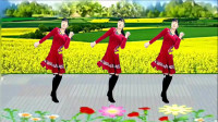经典老歌广场舞《春暖花开》风景如画，舞步新颖，简单32步
