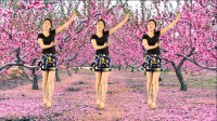 广场舞精选《桃花朵朵开》优美大方，好听好看，简单易学！