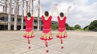 今年超流行的一首广场舞《梨花飞情人泪》送给你！喜欢请关注！