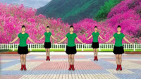 精选经典广场舞《红马鞍》步伐优美时尚，欢快健身又好听！