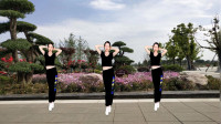 广场舞【世界第一等】舞蹈优美好看舞步简单好学