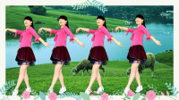 养眼藏族舞《心花开在草原上dj》广场舞，草原歌曲，简单大气！
