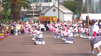 实拍日本市民跳阿波舞，和中国的广场舞相比，有什么不一样？