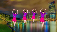 广场舞《哑巴新娘》简单32步大众健身舞
