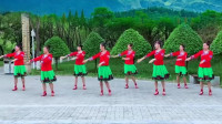 秋日馨香广场舞《凤凰花开》团队版民族舞，简单易学，带分解教学！
