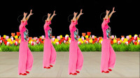 广场舞《美观不美观》简单易学32步   特别适合新手学跳