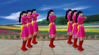 藏族风格广场舞《美丽的格桑花》草原歌曲大气悠扬，好听又好看！