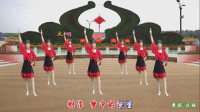 梦中的流星广场舞《映山红》 舞蹈：凤梅