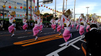 日本大妈跳广场舞，音乐竟是《最炫民族风》，中国文化让人骄傲