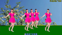 广场舞《桃花树下唱情歌》男女对唱版 简单大方32步附教学