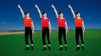 新手入门32步广场舞《玛尼情歌》初级步伐，大众好看好学附分解！