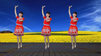 民族特色广场舞《新龙船调》步伐新颖独特，节奏欢快好听好看！