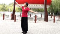 入门广场舞《母亲是中华》简单舞步，适合初学者学习，大妈真棒！