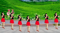 阿珠广场舞《真心换真情》老年动感恰恰舞教学，简单易学