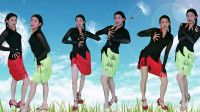 默默民族舞蹈《美丽的七仙女》恰恰广场舞教学