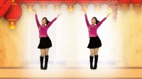2019热门舞蹈视频广场舞《大妹子》简单易学广场舞视频