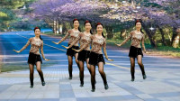广场舞《小菊花》新颖时尚简单的舞蹈，动感易学