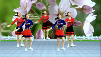 广场舞《吉祥欢歌》精选藏族舞，附教学