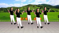 小慧广场舞《大风歌》创新的32步就是这么吸引人，附教学