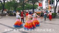 海南三亚海月广场北方候鸟老人广场舞大比拼，藏族特色舞蹈一枝独秀，幸福老人在三亚尽情嗨，过令人羡慕的生活！