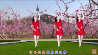 玖月广场舞网红神曲野花香  活泼可爱的野花真的香吗